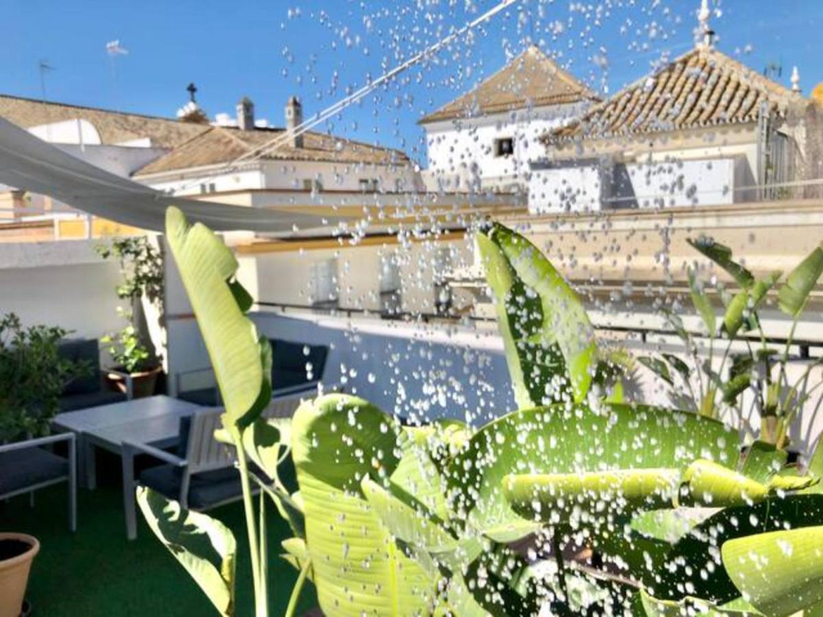 In V33-1 Izq Appartamento Siviglia